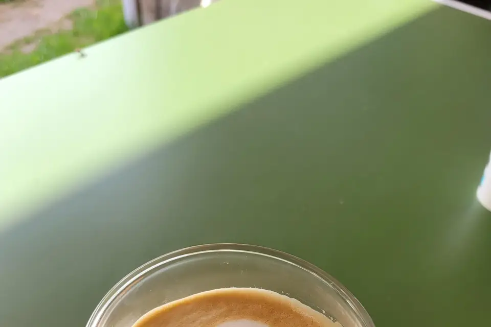 Le Grain de Paulette — photo 4