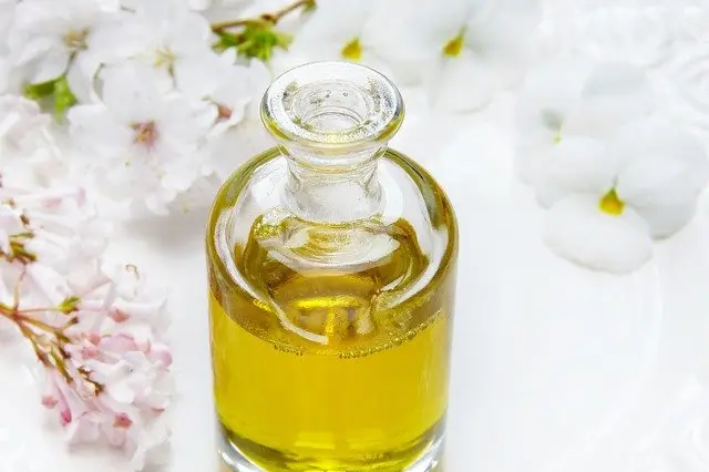 Steph et La Beauté — photo 7