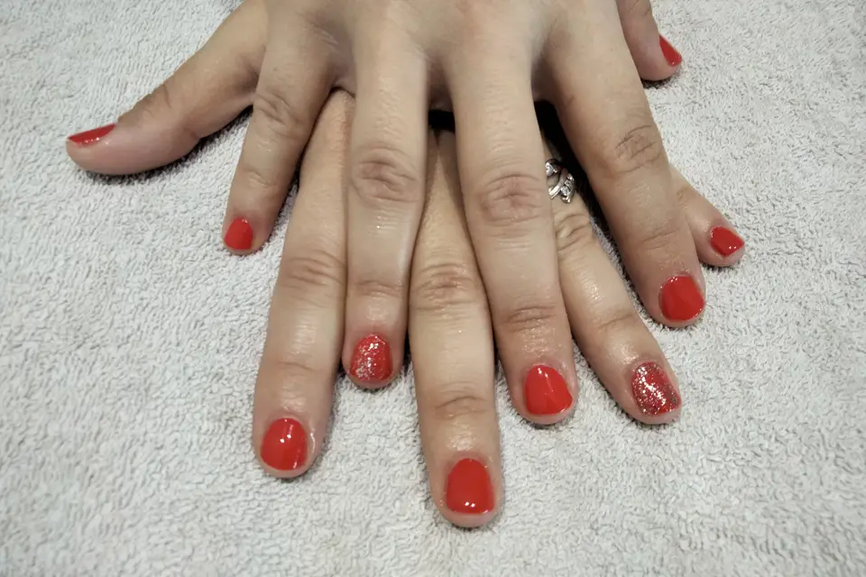 Steph et La Beauté — photo 4