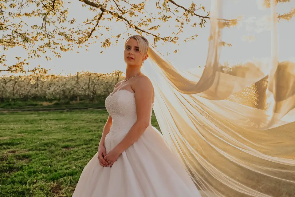 Laurent Dimberton — photo 8