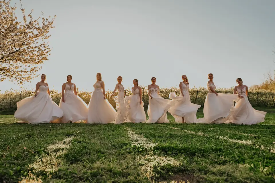 Laurent Dimberton — photo 5