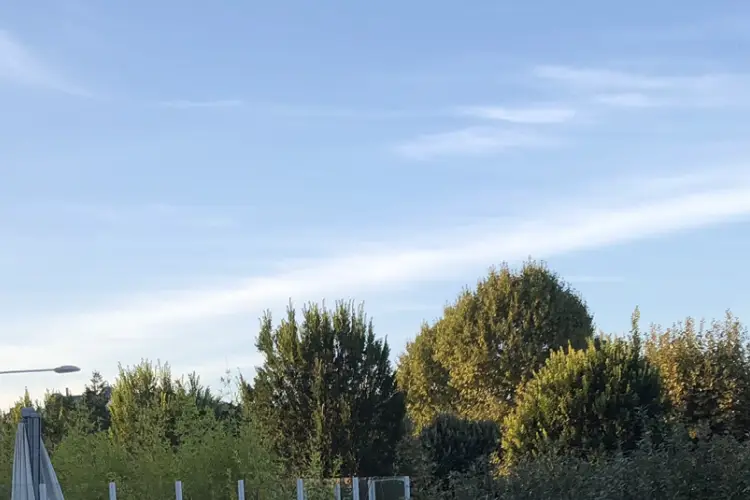 Loreann’ — photo 4