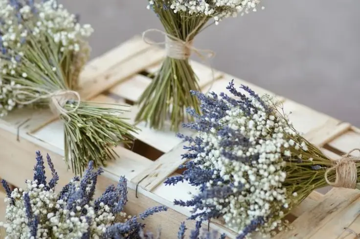 Passiflore — photo 4