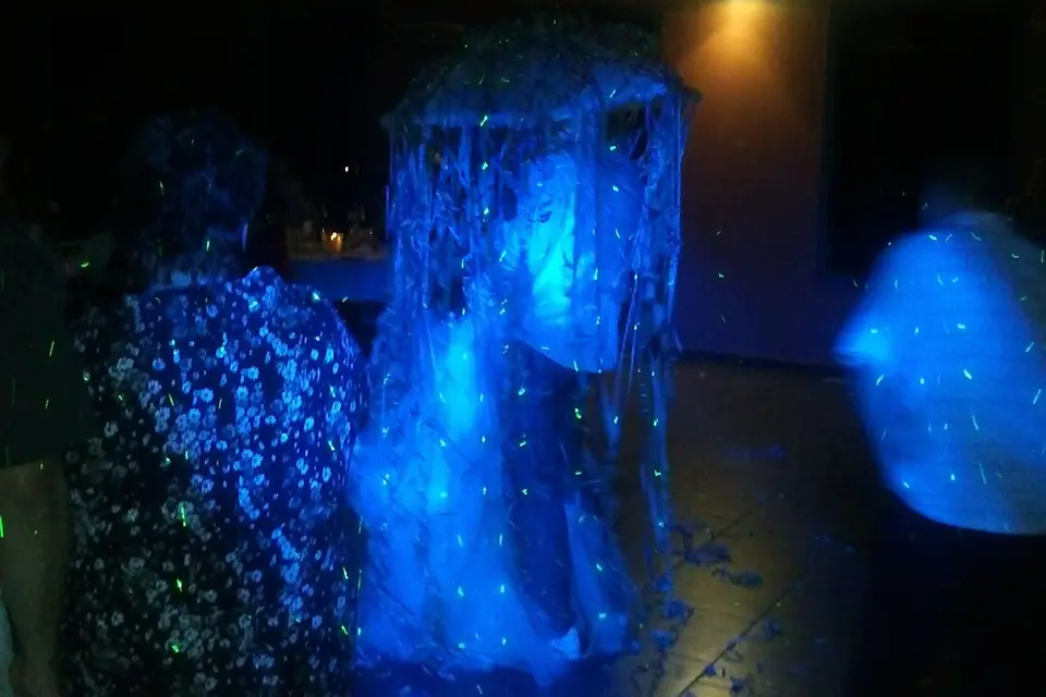 Anim'Fiesta — photo 8