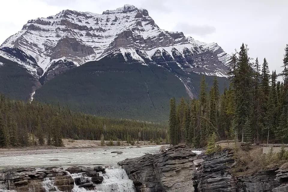 Loma Travel — photo 6