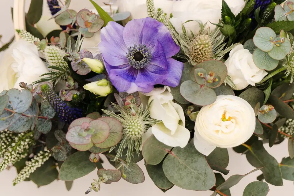 Luce Louison — photo 4