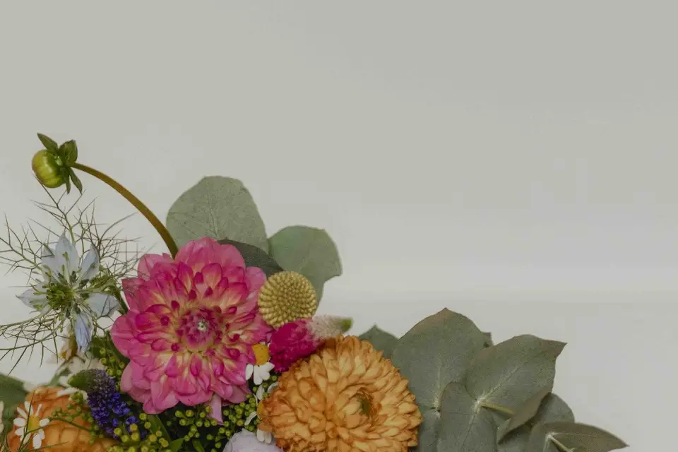 Luce Louison — photo 2