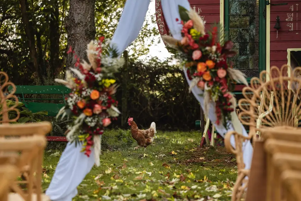 Magnolia Événements — photo 1