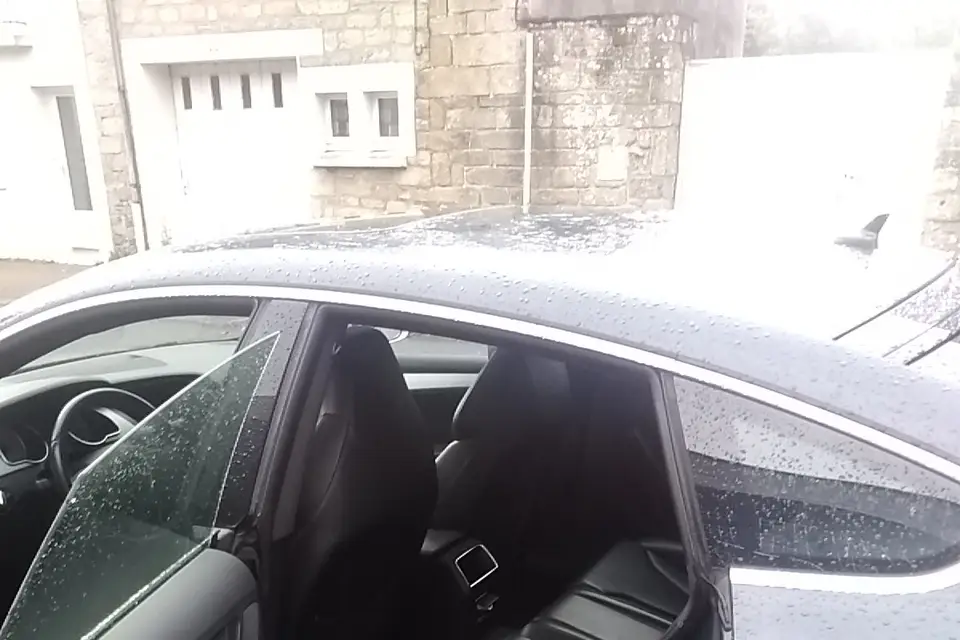 Moise Clain — photo 7