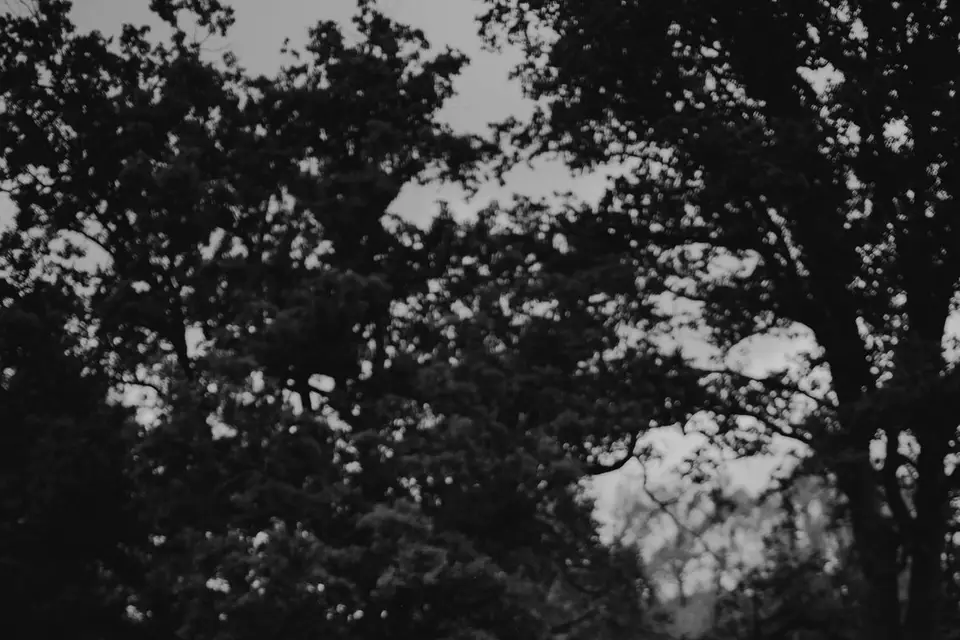 Pix'elle photographe — photo 7