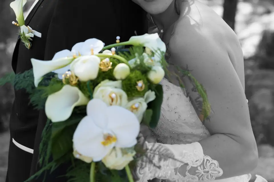 Régis Moritz Photographe — photo 6