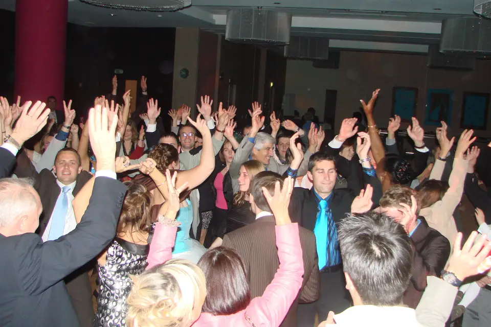 Animusik — photo 7