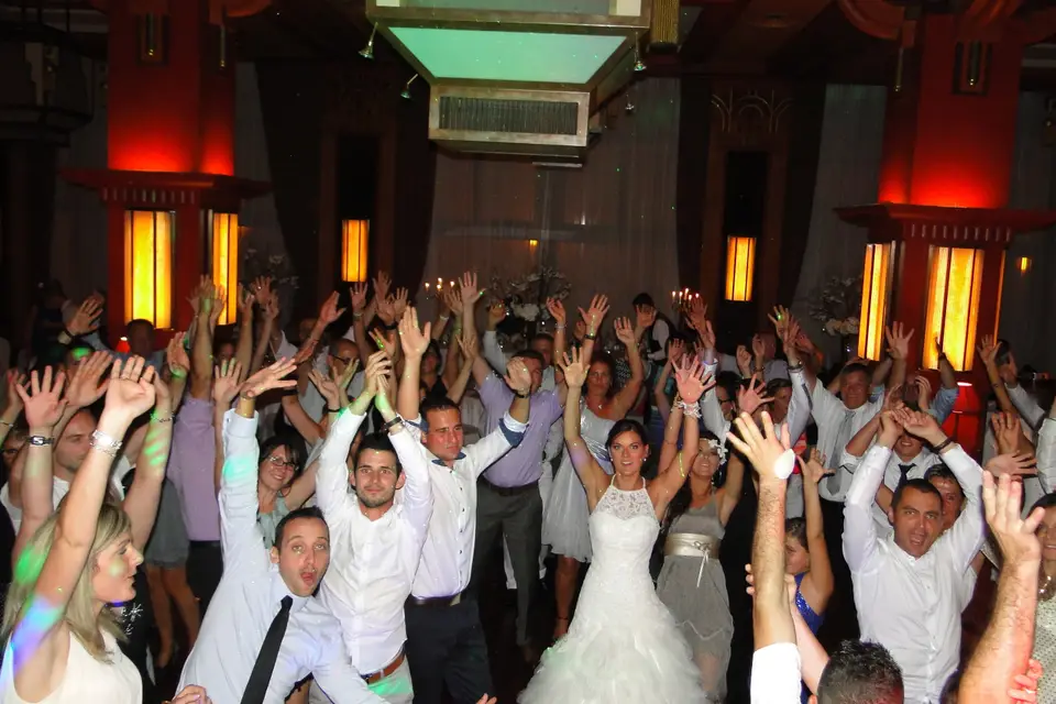 Animusik — photo 6