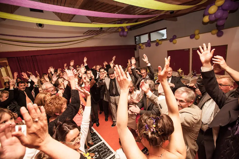 Animusik — photo 3