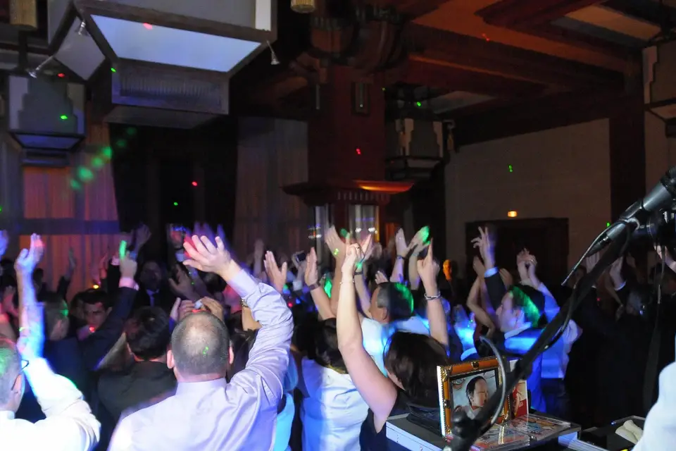 Animusik — photo 2