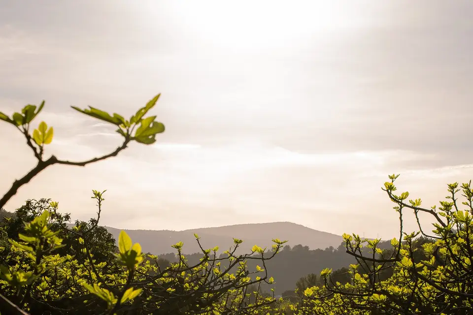 Castel de Fies — photo 2