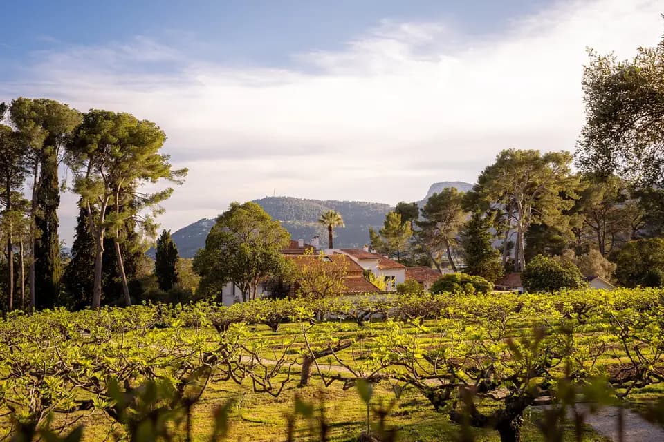 Castel de Fies — photo 1