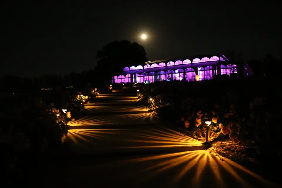 DJ Concept — photo 2