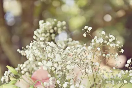 My Babyshower and Events — photo 4