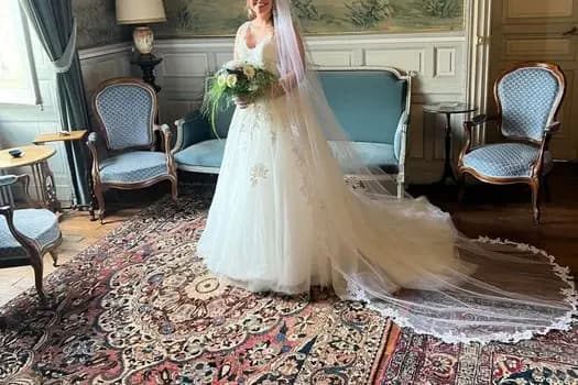 Château de la Barbelinière — photo 4