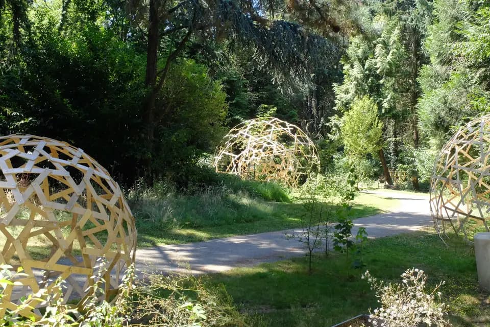 Train d'envie — photo 2