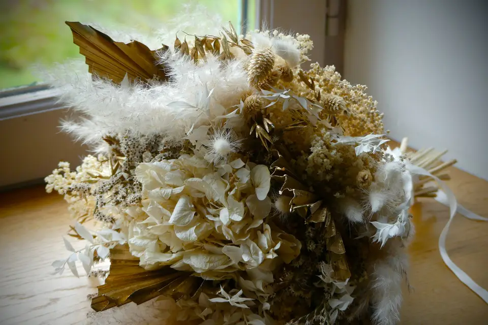 BS Drones — photo 6