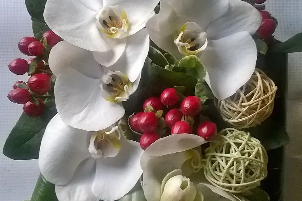 Fleurs à Fleurs — photo 8