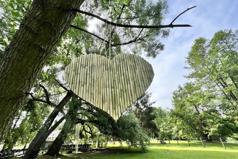 Le Moulin de Saint Germain — photo 9