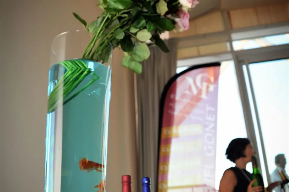 L'odyssée Des 7 Arts — photo 7