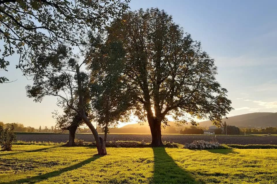 La Grange — photo 6