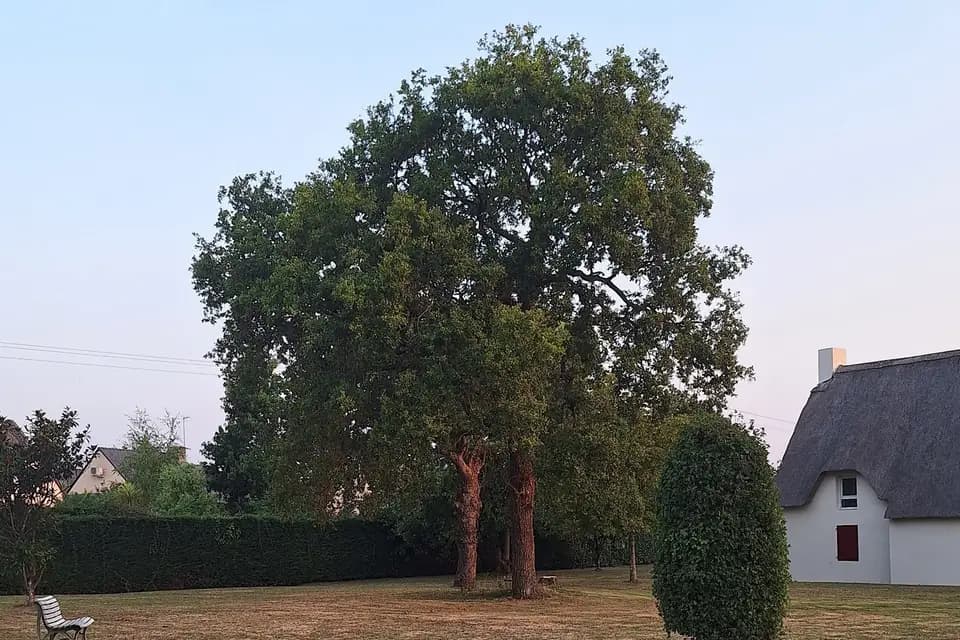 Hôtel de la Brière — photo 8