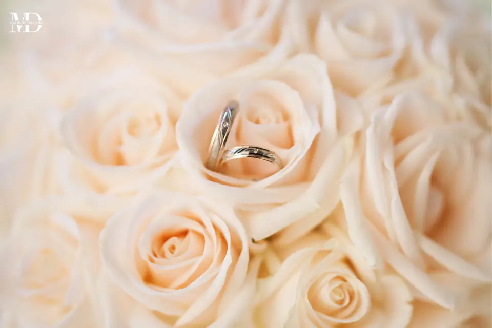 Made of Dreams — photo 2