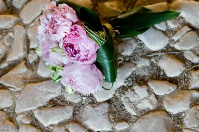 Alain Auzanneau Photographe — photo 4