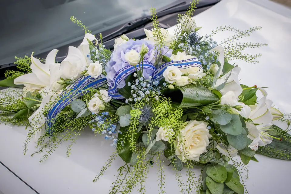 DIG’Events — photo 5