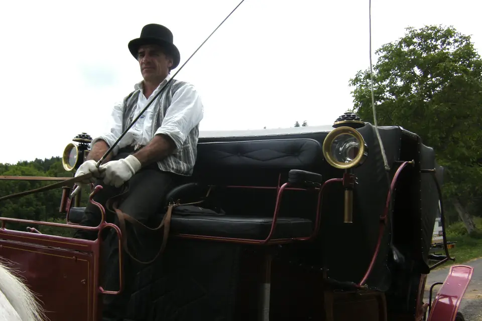 Association Attelage de Traits Urbains — photo 4