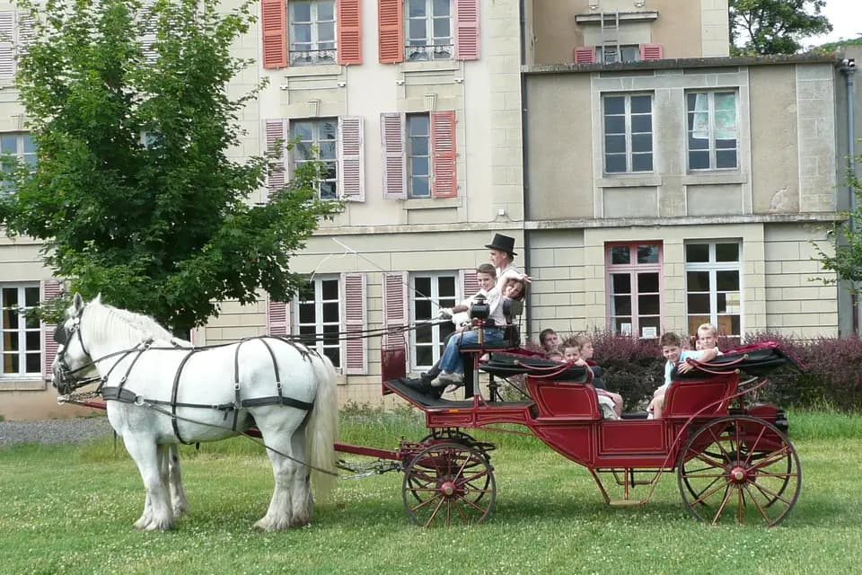 Association Attelage de Traits Urbains — photo 3