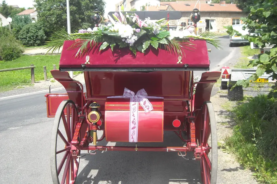 Association Attelage de Traits Urbains — photo 2