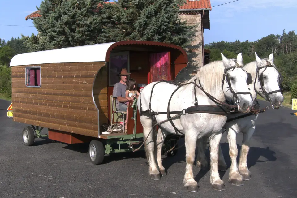 Association Attelage de Traits Urbains — photo 6