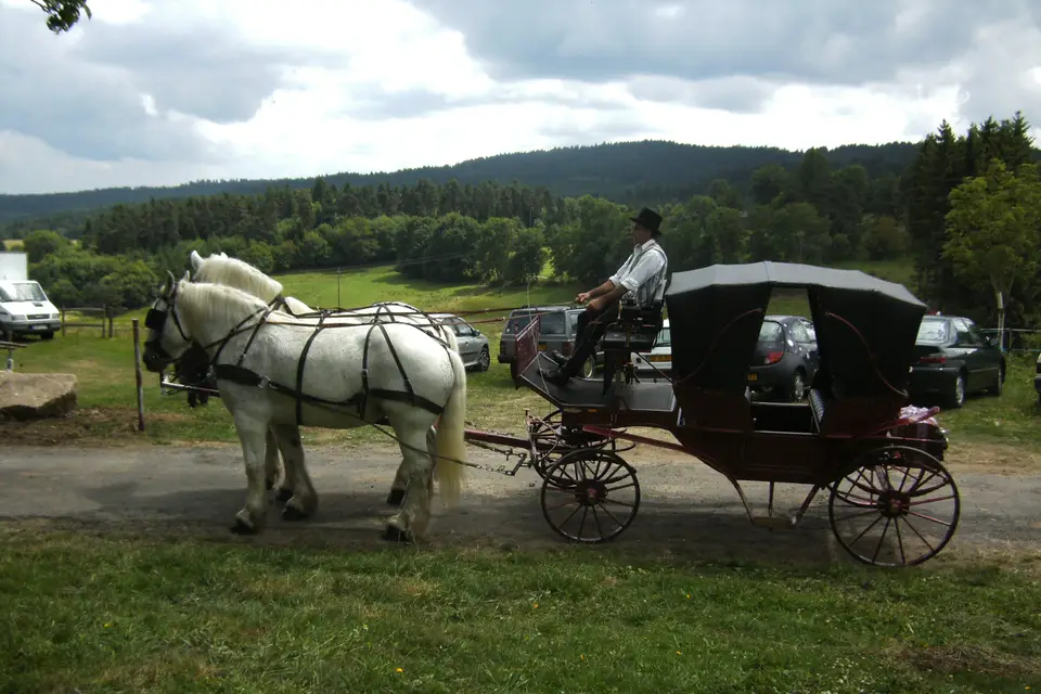 Association Attelage de Traits Urbains — photo 5