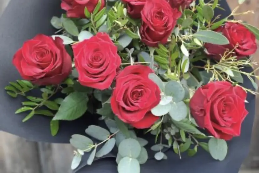 Audrey création — photo 5