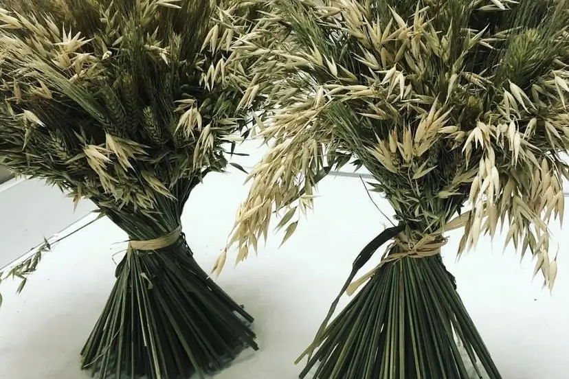 Audrey création — photo 4