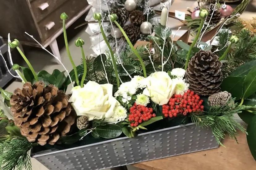 Audrey création — photo 6