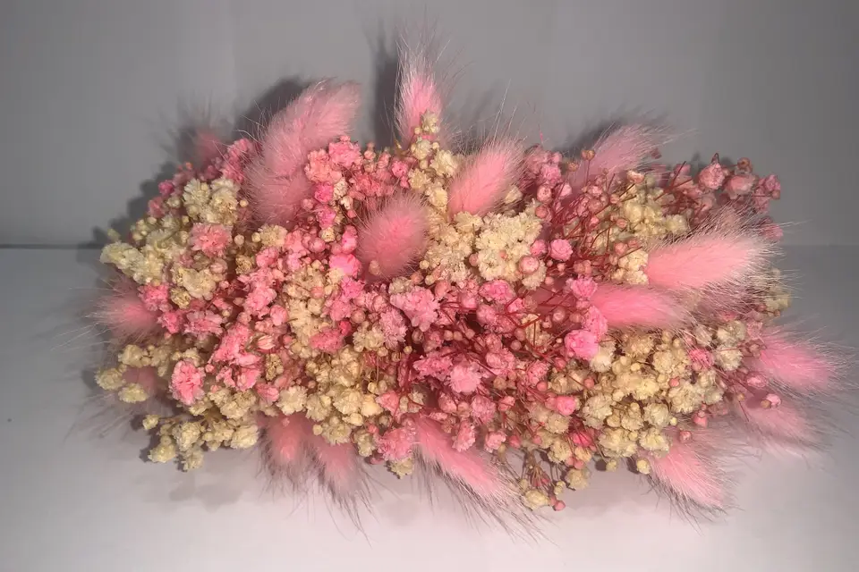 Audrey création — photo 1