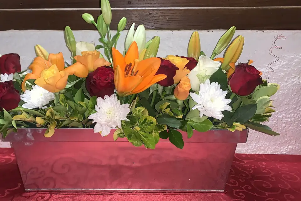 Audrey création — photo 2