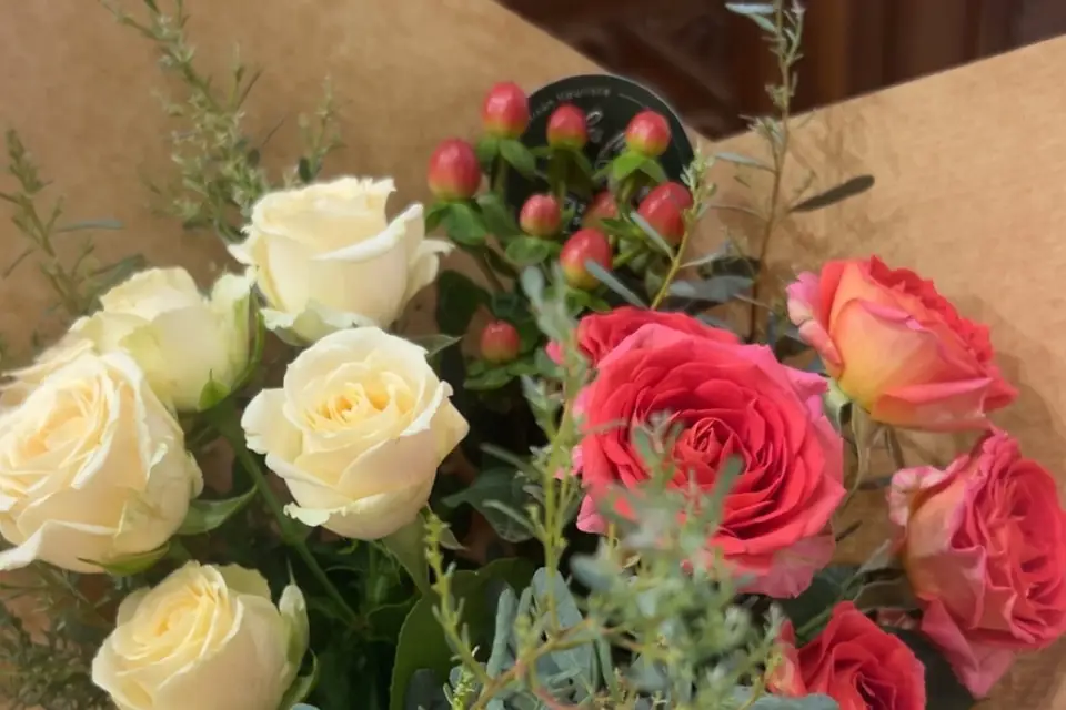 Audrey création — photo 8