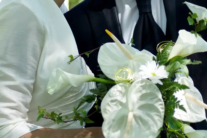 nbo.photos — photo 4