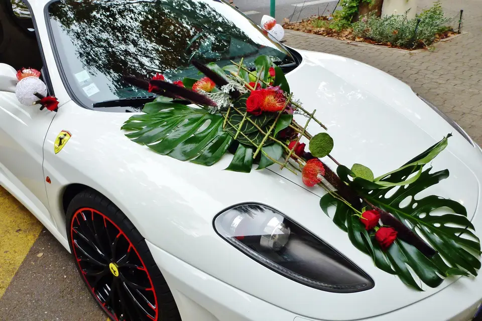 Fémoirever Cheri — photo 2