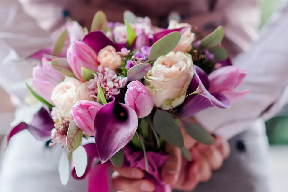 Agence Ayana — photo 5