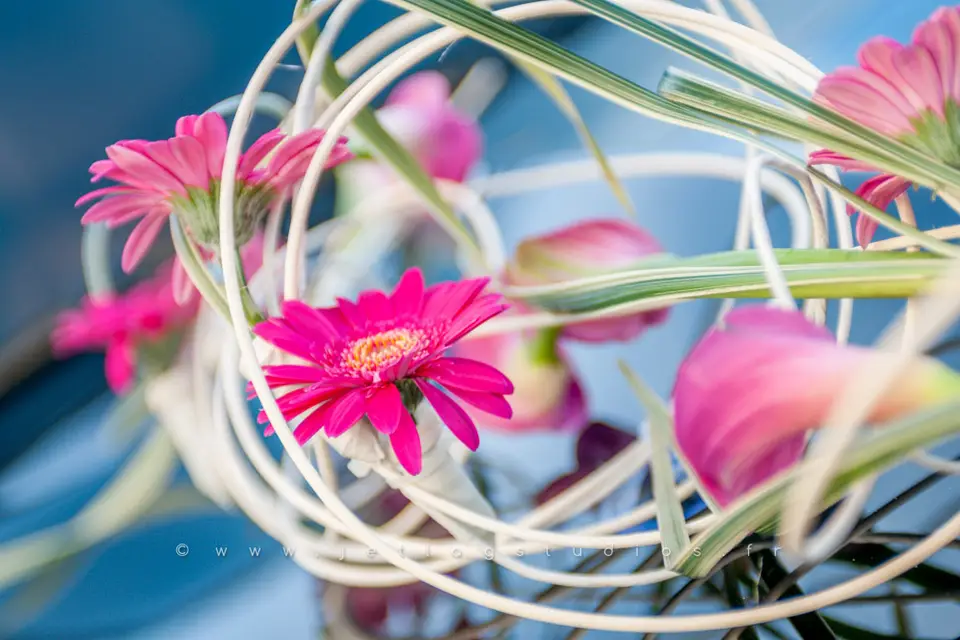 JeTlag Studios - Jérôme Taillandier Photographe — photo 9