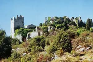 Restaurant Chez Rose — photo 4